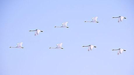 CDPR拒绝分享《赛博朋克2077》的最新销售数据